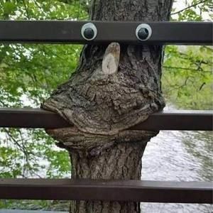 Meet your Posher, Kelli